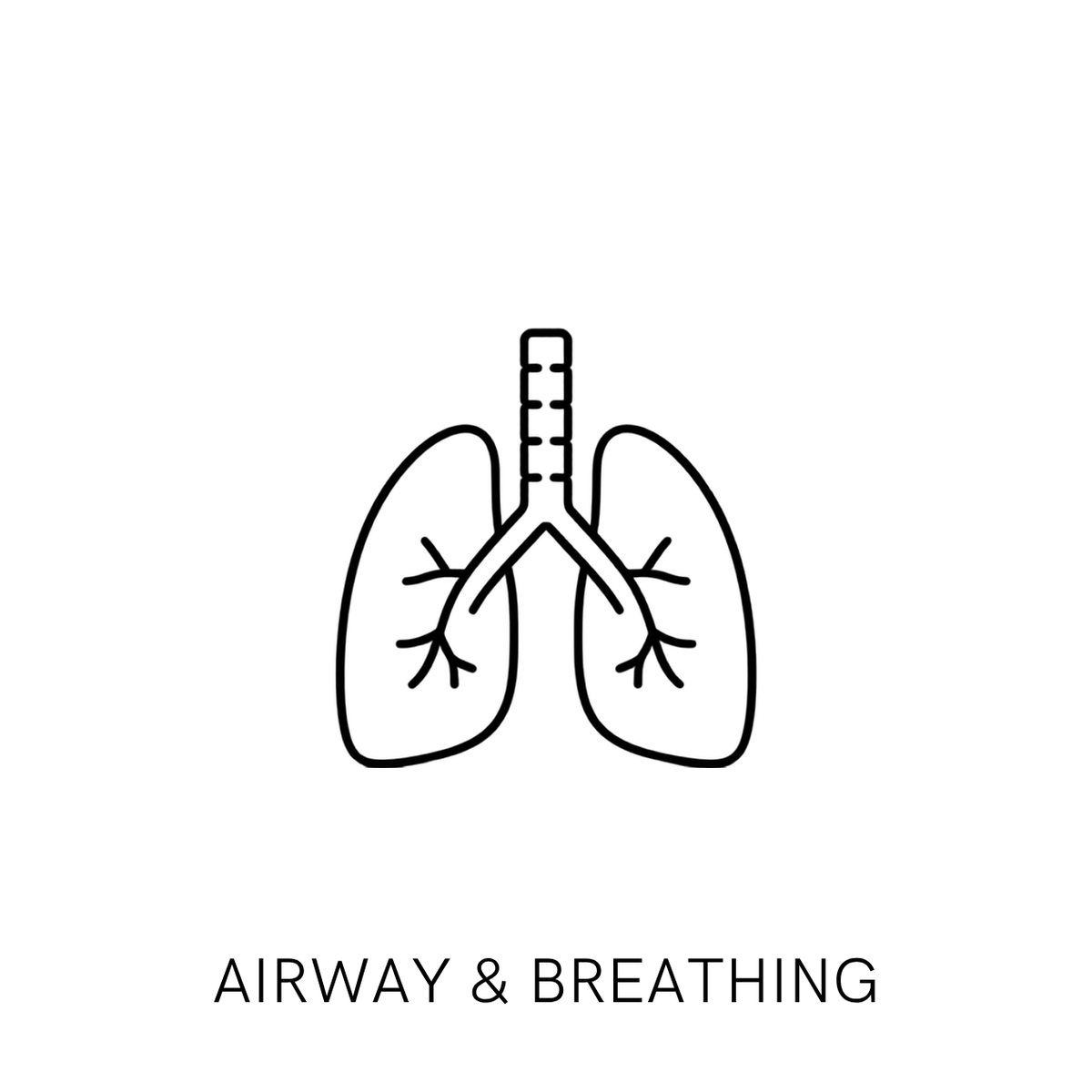 Airway & Breathing